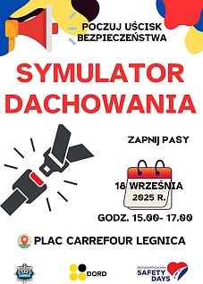 ROADPOL Safety Days, czyli Dni Bezpieczeństwa Ruchu Drogowego