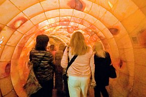 Model 3D jelita i profilaktyka w Centrum Witelona-23405