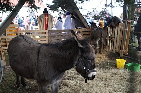 Pasterka w szopce zachwyciła najmłodszych-23632