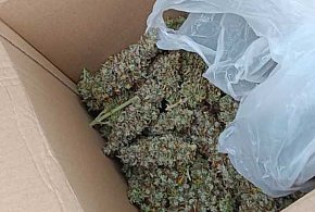 Wpadli przez własne nerwy. Mogą długo posiedzieć - 115266