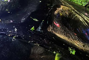 Piła, wsiadła za kierownicę i dachowała. Świadek wydobył ją z auta-115326