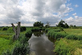 Co dalej z nowym parkiem narodowym? Minister klimatu zdradza plan po wecie-117454