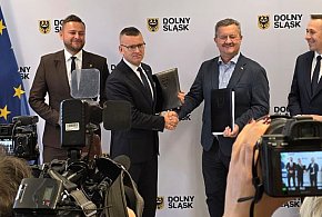Koleje Dolnośląskie zamawiają kolejne Elfy. Flota urośnie do 55 pociągów-117524