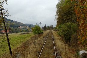 Ruszył przetarg na wycinkę drzew na linii Legnica-Złotoryja -Marciszów-117872