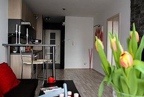 Rewolucja w wynajmie na doby. Nadchodzi koniec "wolnej amerykanki"-118863