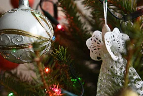 Choinkę lepiej kupić niż wycinać w lesie - 119874