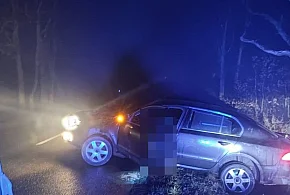 Miał zakaz, miał 4 promile, wsiadł za kółko i skończył w rowie-119953