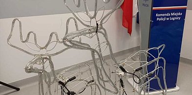 Legniczanin na warunkowym ukradł jelonki w Prochowicach