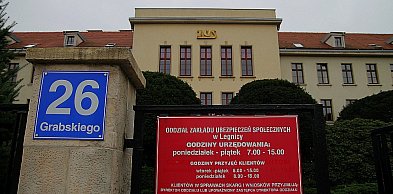 ZUS wydał setki tysięcy zaświadczeń o stażu pracy. Następne w drodze