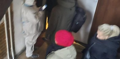 Pięćdziesiąt kotów w kawalerce. Lekarz weterynarii nie widział nic złego