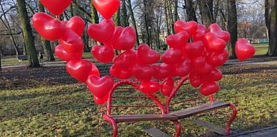 Czerwone balony ozdobiły Ławeczki Zakochanych w Chojnowie
