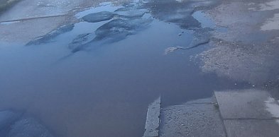 Oburzenie po naszym materiale. Czytelnik pokazał Krzemieniecką