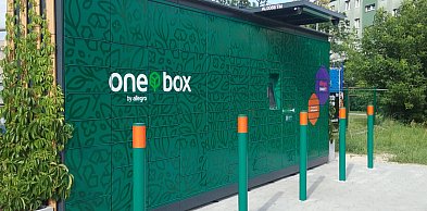 Allegro może mieć problemy. Do siedziby wkroczył urząd