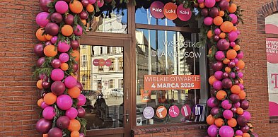 Fale Loki Koki w Galerii Piastów. Wszystko do pielęgnacji włosów