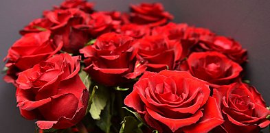 Dziś Wasze święto. Życzenia od redakcji Portalu Lca.pl