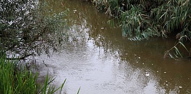 Zanieczyszczenie rzeki Czarna Woda. Wodociągi usunęły awarię