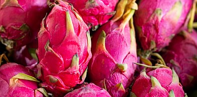 Smoczy owoc gdzie kupić - gdzie znaleźć świeżą pitahayę