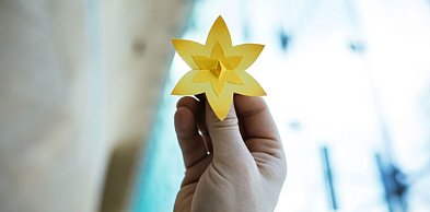 Szkoły mogą dołączyć do akcji Żonkile i upamiętnić powstanie w getcie