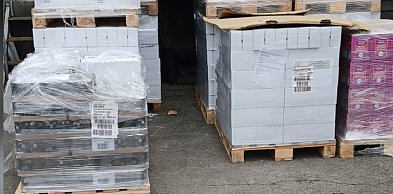 Wsparcie dla legnickich kotów wolnożyjących