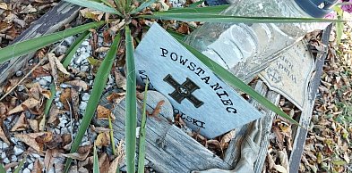 Z jednej strony hołd, z drugiej rachunek. Groby powstańcow zagrożone