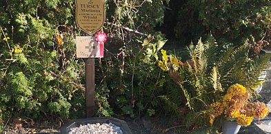 W ciągu czterech dni zebrali pieniądze i ocalili groby powstańców