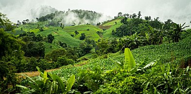Typowy turysta vs. świadomy podróżnik