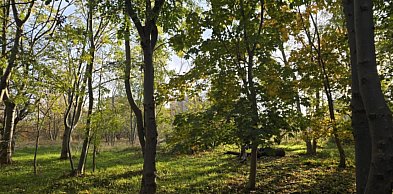 Radni zgodzili się na nowe osiedle, park i usługi na Piekarach „D”