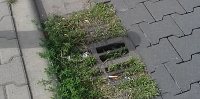 Dwie firmy chcą zająć się kanalizacją deszczową w Legnicy
