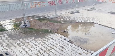 „To wstyd, co widzą ludzie przyjeżdżający do WORD” alarmuje czytelnik