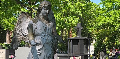 Odeszli w minionym tygodniu. Legnica żegna swoich bliskich