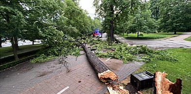 Silny wiatr dał się we znaki. Strażacy interweniowali w mieście i powiecie