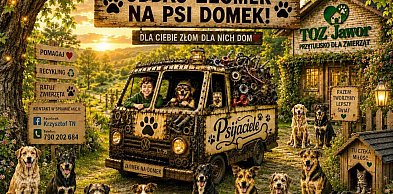 „Oddaj złomek na psi domek”. Jaworska akcja pomocy podopiecznym TOZ