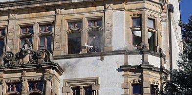 Ogień i uwięzieni! Ćwiczenia ewakuacyjne w ratuszu-117095