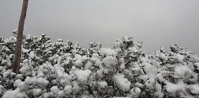 Mróz, śnieg, wiatr, oblodzone szlaki. Karkonosze dziś dają popalić turystom-117734
