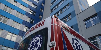 Legnicka i złotoryjska psychiatria jako jeden podmiot-119790