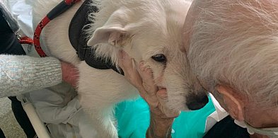 Niezwykłe i wzruszające odwiedziny w legnickim szpitalu-120046