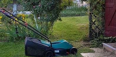 Działkowcy mogą sięgnąć po miejskie wsparcie. Ruszył nabór wniosków-120910