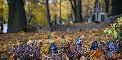 Odeszli na wieczną wartę: Legnica żegna swoich mieszkańców-117596