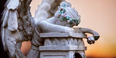 Odeszli, pozostawiając po sobie pustkę. Żegnamy mieszkańców Legnicy-118521