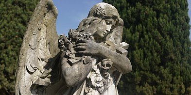 Ostatnie pożegnanie. Legnica żegna mieszkańców-118983