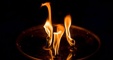 1 Listopada w Legnicy. Najważniejsze informacje znajdziesz jednym miejscu-116582