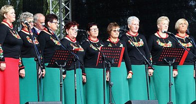 Muzycy ludowi wracają do Chojnowa. Będzie wspólne granie i prezentacje-117521
