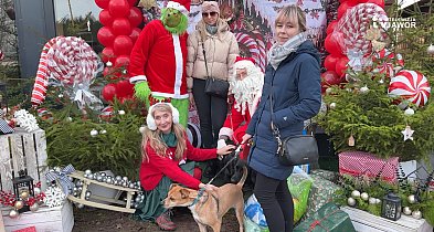 Jaworskie Przytulisko zorganizowało Mikołajki dla swoich podopiecznych-119478