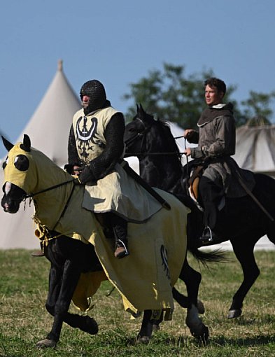 I Międzynarodowe Kolokwium nt. Broni i Zbroi w Legnickim Polu-117737
