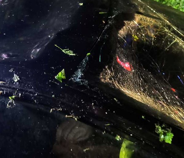 Piła, wsiadła za kierownicę i dachowała. Świadek wydobył ją z auta-115326