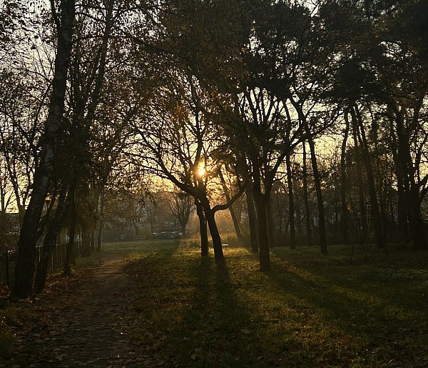 Nadchodzi najkrótszy dzień w 2025 roku. Sprawdź, kiedy przypadnie-119778