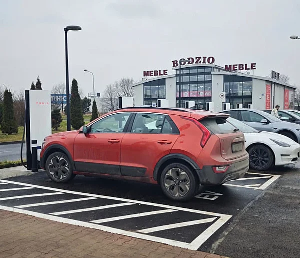 Zielone tablice coraz częściej widoczne na ulicach Legnicy-119995