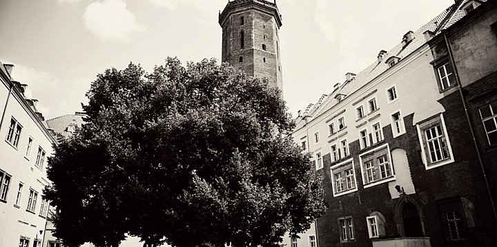 Jazz zabrzmi na strychu Zamku Piastowskiego-117206