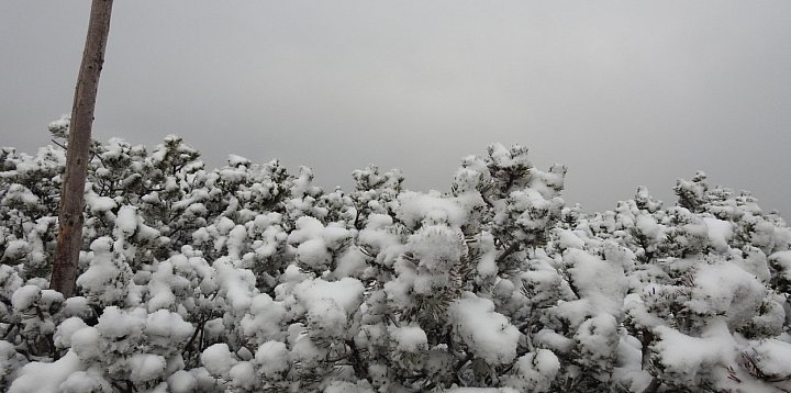 Mróz, silny wiatr, oblodzone szlaki w Karkonoszach-117734