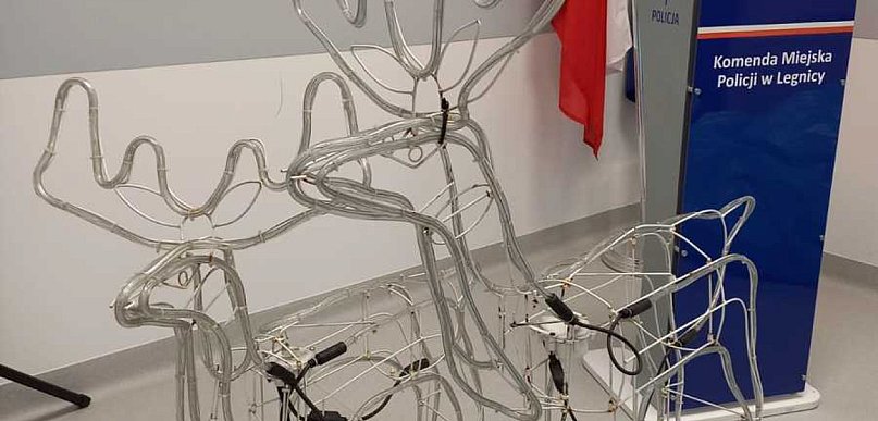 Legniczanin na warunkowym ukradł jelonki w Prochowicach